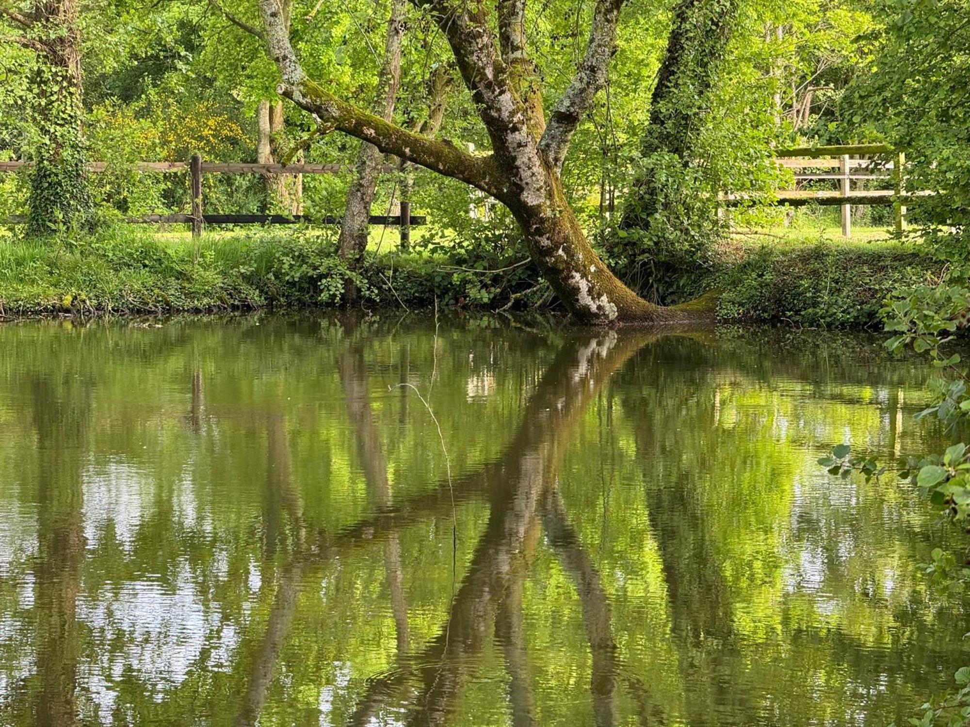 La Maison De L'Etang Manerbe Экстерьер фото